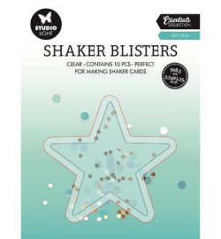 Studio Light Shaker Window - Big Star 