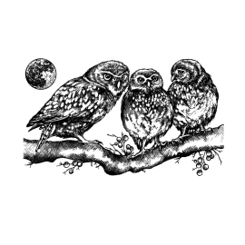 Crafty Individuals stamps - Owl Family