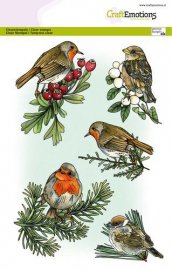 CraftEmotions clearstamps A5 - Birds in winter