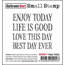 Darkroom Door Small Cling Stamp - Enjoy Today