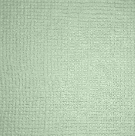 Reprint Cardstock 5 pack - Sage