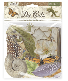 Stamperia Die Cuts - All Around 