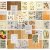 49 and Market 6x8 Collage Sheets - Color Swatch: Peach