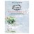 49 & Market 6x8 Collection Pack - Summer Porch