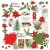 49 and Market Acetate Assortment Set - Evergreen Season