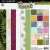 49 And Market 12x12 Paper Pad - Curiosities In Willow Grove