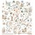 49 And Market Laser Cuts Out Botanicals - Coastal Soul 
