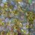 Dress My Craft Sequins - Chick Mix
