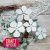 Craft & You Dies - Apple Blossom