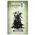 Lavinia Stamps - Christmas Eve