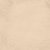 Reprint 12x12 Paper Monochromes - Enchanted Halloween Pumpkin/Beige