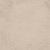 Reprint 12x12 Paper Monochromes - Enchanted Halloween Sand/Ivory