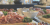 Eventbiljett till Vecka 36 2026