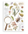 Stamperia A5 Washi Pad - All Around