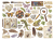 Stamperia Die Cuts - All Around 