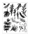 Sizzix Clear Stamp Set & Framelits Dies - Winter Greenery 