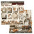 49 and Market 12x12 Collection Pack - Seasons Bounty 