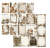 49 and Market 12x12 Collection Pack - Seasons Bounty 