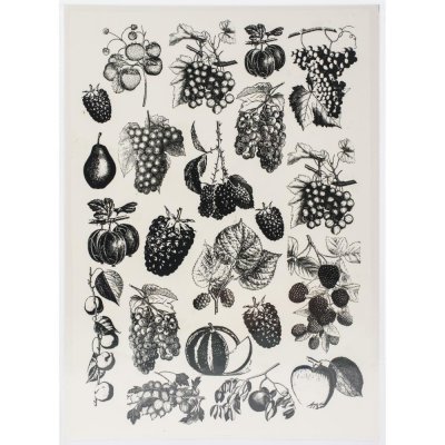Dress My Craft Transfer Me Sheet A4 - Vintage Fruits #1