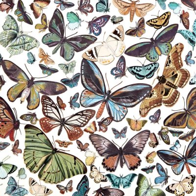 49 And Market Laser Cut Outs - Wings