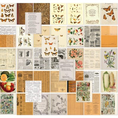 49 and Market 6x8 Collage Sheets - Color Swatch: Peach