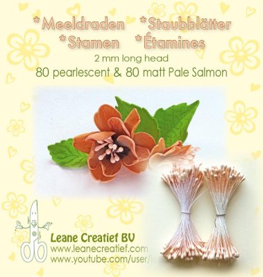Leane Pistiller - Pale Salomon