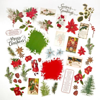 49 and Market Acetate Assortment Set - Evergreen Season