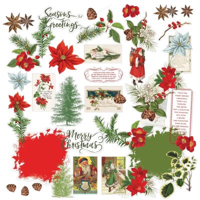 49 and Market Acetate Assortment Set - Evergreen Season