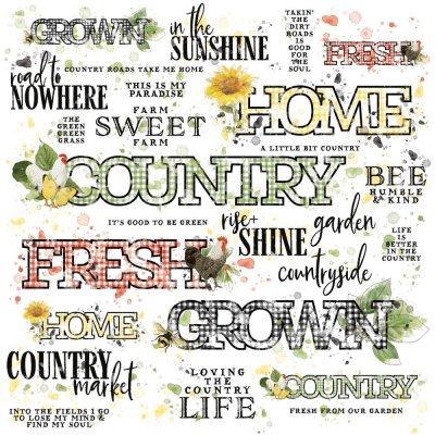 49 and Market Rub-Ons 12x12 - Vintage Artistry Countryside Sentiments