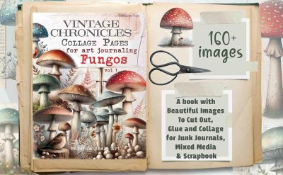Fungos vol 1
