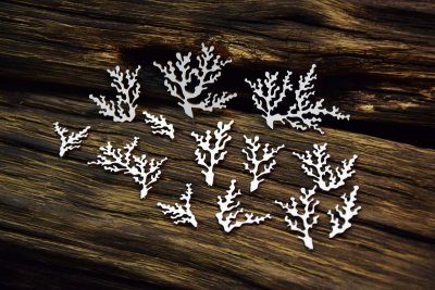 Chipboard - Corals