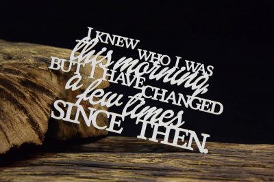 SnipArt Chipboard - I knew who I was