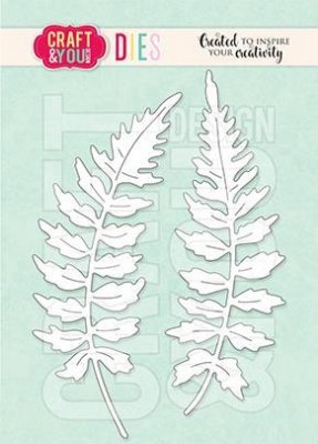 Craft & You Die - Ferns
