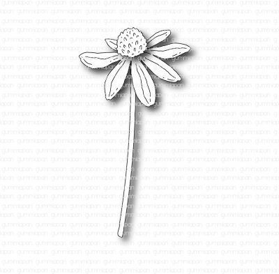 Gummiapan dies - Rudbeckia