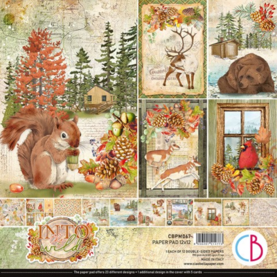 Ciao Bella 12x12 Paper Pad - Into the Wild