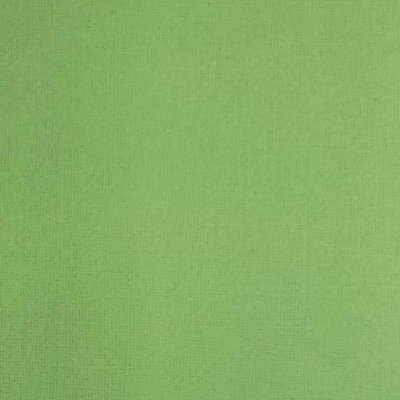 Reprint Cardstock 5 pack - Grass Green