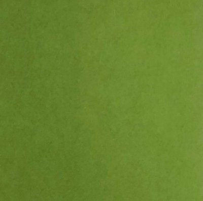 Reprint Cardstock 5 pack - Moss