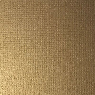 Reprint Cardstock 5 pack - Latte