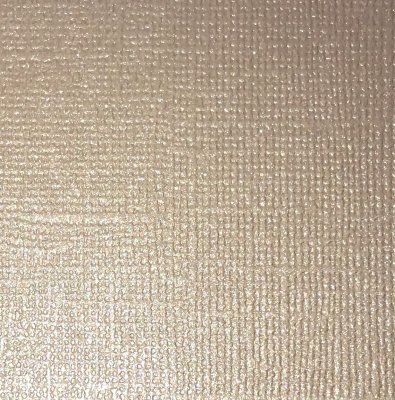 Reprint Pearl Cardstock 5 pack - Pearl Champagne