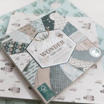 First Edition Paper pad 6x6 - Arctic Wonder 