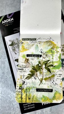 Arden Creative Studio - Marks Clear Stamp Set
