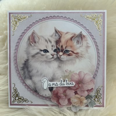 4 motivbilder på papper 12x12 inch - Söta Katter
