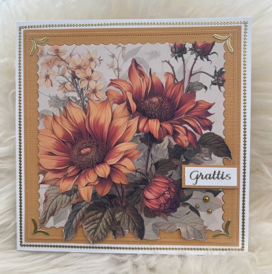 4 motivbilder på papper 12x12 inch - Solrosor