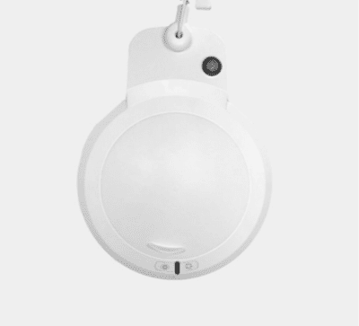 Chameleon Magnifier Lamp 3D