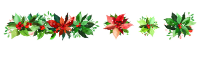 Arden Creative Studio PET Tape - Season of Joy Poinsettia 