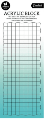 Studio Light Acrylic with grid