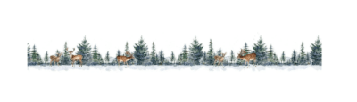 Studio Light Essentials Clear Stickers - Winter Wonderland 
