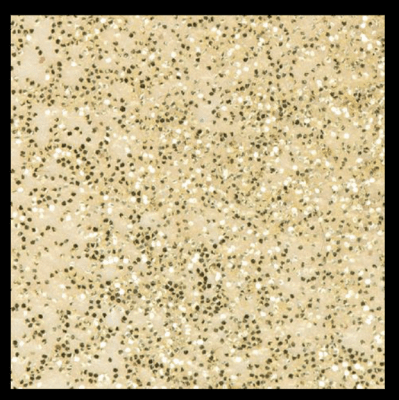 WOW! Embossing Powder Glitters Pearl Gold Sparkle - Regular