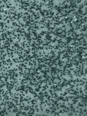 WOW! Embossing Powder Embossing Glitters - BEE Kind Regular