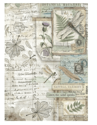 Stamperia A4 Rice Paper - Herbarium Silvae Botanic